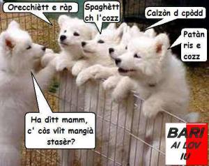 1014100_540592936001312_873070250_n