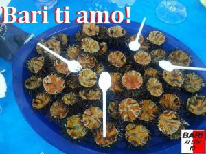 1174655_578795182181087_434747015_n