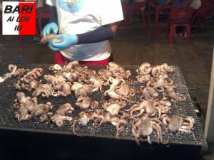 533922_556709964389609_1443025792_n