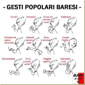 993370_567116753348930_1135829352_n