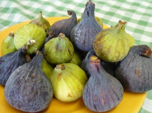 amatoriale tanta figa VIESTE russe la bionda bonazza scopata in tenda sono puttane troie ciuccia cazzo piedi
